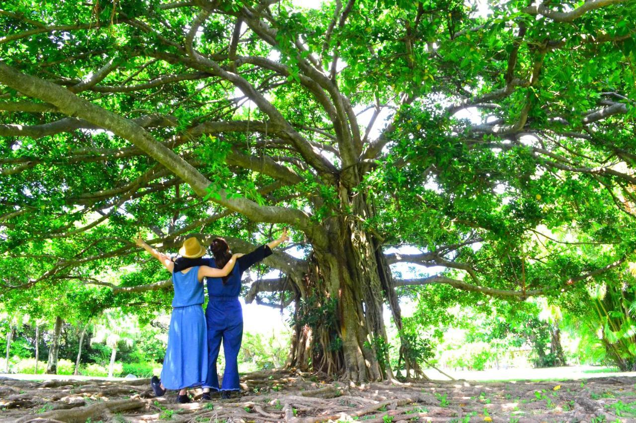 Amami-Green-Garden Luaran gambar