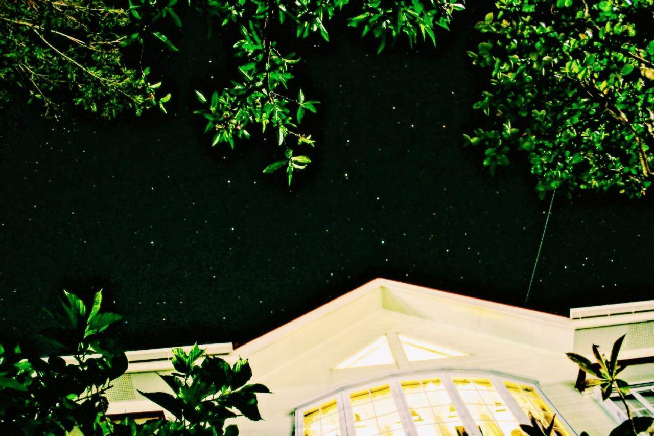 Amami-Green-Garden Luaran gambar